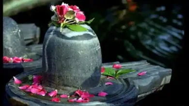 Photo of जानिए राशि के अनुसार कैसे महाशिवरात्रि पर कर सकते हैं भगवान शिव की पूजा..