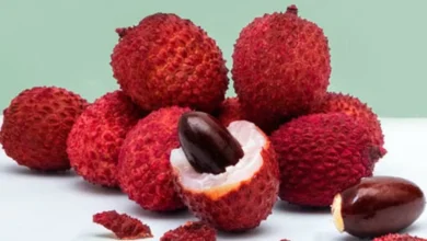 Photo of जानिए किन  5 कारणों से हम दे रहे हैं आपको लीची खाने की सलाह..