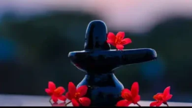 Photo of महाशिवरात्रि का पर्व कुछ राशि वालों के लिए रहेगा अत्यंत ख़ास, जानें इन राशियों के बारे में-