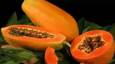 Photo of यहां जानिए सेहत के लिए कैसे फायदेमंद है ये फल-