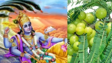 Photo of जानिए कब मनाया जाएगा आमलकी एकादशी…