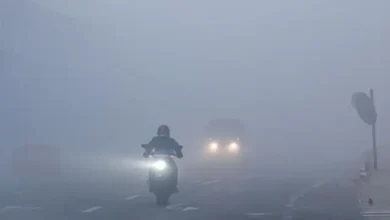 Photo of फरवरी के पहले सप्ताह में ही उत्तराखंड में बढ़ने लगा तापमान…