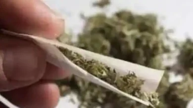 Photo of तिरुवनंतपुरम में चूहों की करामात सामने आई, जानें   क्या है मामला..