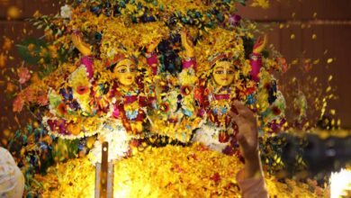 Photo of जानिए क्यों मनाया जाता है फुलेरा दूज…