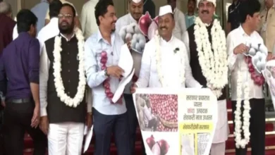Photo of कांग्रेस पार्टी  के विधायक प्याज की माला पहनकर महाराष्ट्र विधानसभा पहुंचे और कीमतों में.. 