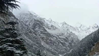 Photo of उच्च हिमालयी क्षेत्रों में ओलावृष्टि को लेकर अलर्ट जारी…