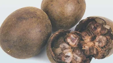Photo of मोंक फ्रूट खाने से शरीर को कई तरह के मिलते हैं फायदे, आइए जानते हैं इसके बारे में-