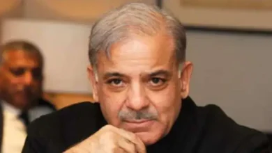 Photo of शहबाज शरीफ सरकार पर मंडरा रहें संकट के बादल, पढ़े पूरी ख़बर