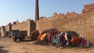 Photo of छत्तीसगढ़ के महासमुंद से सामने आई एक दर्दनाक घटना, पढ़े पूरी ख़बर