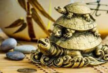 Photo of आइये जानते हैं भाग्य और समृद्धि के लिए फेंगशुई आइटम-