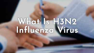 Photo of असम से सामने आया H3N2 का पहला मामला, पढ़े पूरी ख़बर
