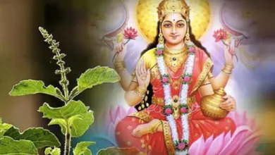 Photo of जानें वास्तु शास्त्र के अनुसार तुलसी की सही दिशा के साथ अन्य नियम…