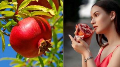 Photo of हाई ब्लड प्रेशर में जानें अनार कैसे खाएं-