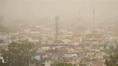 Photo of एनसीएपी के तहत राष्ट्रीय शीर्ष समिति की बैठक में केंद्रीय मंत्री यादव ने वायु गुणवत्ता को लेकर कही ये बातें…