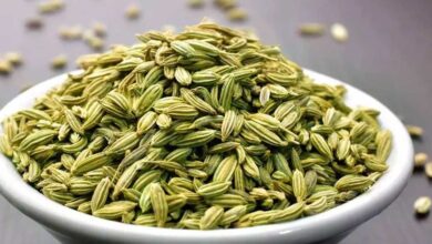 Photo of अगर आप वजन को कम करना चाह रहे हैं तो इस तरह से सौंफ को रूटीन में करें शामिल …