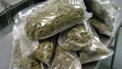 Photo of 60 से 70 प्रतिशत ड्रग्स समुद्री मार्ग से भारत पहुँचता है…
