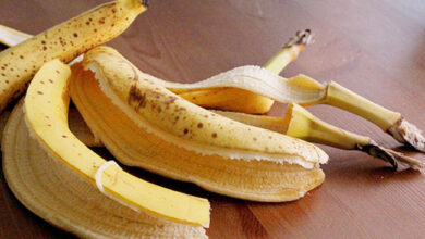 Photo of क्या आप जानते हैं कि सिर्फ केला ही नहीं, बल्कि इसके छिलके भी हमारे लिए काफी फायदेमंद है..