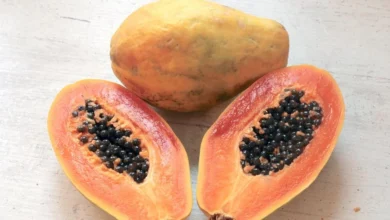 Photo of जानें पीरियड्स के दौरान पपीता खाना चाहिए या नहीं?