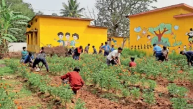 Photo of पैक्सों के गठन के लिए नई नियमावाली बनाई गई है, पढ़े पूरी खबर