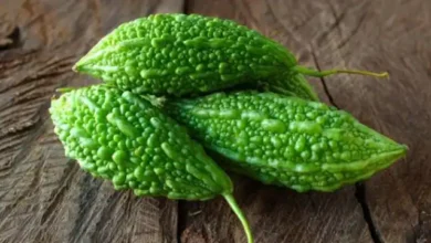 Photo of आईए जानें करेले खानें के साइड इफेक्ट्स के बारे में..