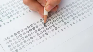 Photo of  जेईई मेंस अप्रैल सेशन रिजल्ट की जांच करने के लिए फॉलो करें ये स्टेप्स..