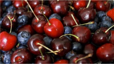 Photo of आप हेल्द मेनटेन करना चाहते हैं तो इस मौसम ये 5 बेरीज जरूर खाएं..