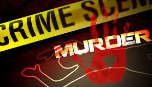 Photo of पीरटांड़ थाना क्षेत्र के पालगंज में आधी रात को निर्दयी पुत्र प्रदीप साव ने अपनी मां की हत्या कर दी..