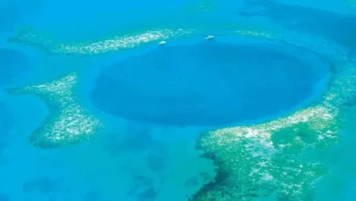 Photo of  वैज्ञान‍िकों ने मेक्सिको में युकाटन प्रायद्वीप के तट पर दुनिया के दूसरे सबसे गहरे ब्लू होल को ढूंढ नि‍काला..