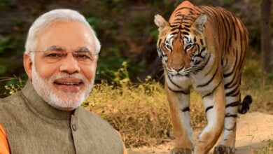 Photo of देश और दुनिया में  कई ऐसी घटनाएं घटी जिसने सुर्खियां बटोरी है , तो आइए जानें आज दिन-भर की पांच बड़ी खबरों..