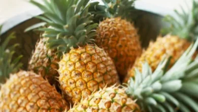 Photo of आइए जानते हैं जरूरत से ज्यादा पाइनएप्‍पल खाने के नुकसान-
