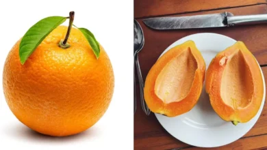 Photo of अगर आप विटामिन-डी की पूर्ति करना चाहते हैं, तो इन फलों का करें सेवन-