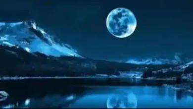 Photo of आईए जानें चैत्र पूर्णिमा का महत्व व पूजा करनें का शुभ मुहूर्त…