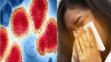 Photo of जमशेदपुर में हांगकांग फ्लू और कोरोना के मामलों ने बढाई सरकार की चिंता…