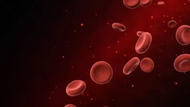 Photo of अगर आप भी एनीमिया से बचाव चाहते हैं तो डाइट में इन चीजों को करें शामिल-