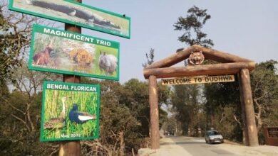 Photo of यूपी के लखीमपुर में दुधवा टाइगर रिजर्व में वीक ऑफ यानी मंगलवार के दिन जंगल सफारी के लिए ऑनलाइन बुकिंग हुई बंद