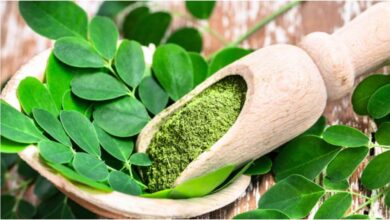 Photo of मोरिंगा की पत्तियों का नियमित सेवन करके आप तेजी से वजन घटा सकते, जानें इसके फायदे और सेवन का तरीका-