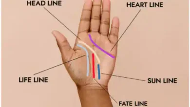 Photo of आइए जानते उन रेखाओं के बारे में जिनसे जिंदगी की महत्वपूर्ण बातों का पता लगाया जा सकता है…