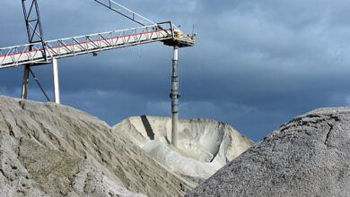 Photo of भारद्वाज ने कहा कि जम्मू-कश्मीर में पाए जाने वाले लिथियम के भंडार की नीलामी दिसंबर तक शुरू हो जाएगी..