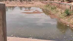 Photo of द्वारका के तालाब में सीवर का गंदा पानी आना हुआ शुरू , जिसकी वजह से मछलियां तड़पने लगी..