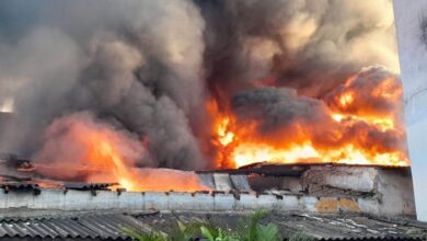Photo of पटना सिटी में एक गैराज में भीषण आग लग गई जिसमें कार ई-रिक्शा सहित दर्जनों गाड़ियां जलकर राख हो गई..