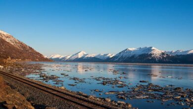 Photo of अलास्का की भाग में स्थित एक जलमार्ग टर्नगैन आर्म देखने पहुंचे शख्स की डूबने से हुई मौत..