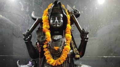 Photo of शनि जयंती के दिन कुछ उपाय करने से साधक को मिलते है ये लाभ-