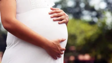 Photo of प्रेग्नेंसी में तुलसी के बीज खाने से महिलाओं को कई फायदे मिलते हैं, जानें इसे लेने का सही तरीका-