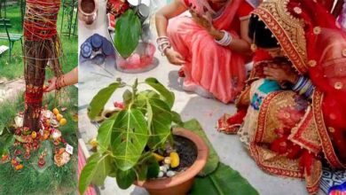 Photo of हिंदू धर्म में वट सावित्री व्रत को महत्वपूर्ण माना जाता, जानिए इस दिन का महत्त्व ..