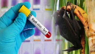 Photo of केरल में निपाह वायरस का प्रकोप, अलर्ट जारी