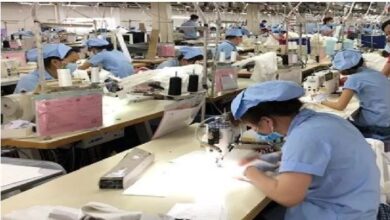 Photo of मंत्रालय ने पेश की महिला श्रम बल भागीदारी दर 2023 रिपोर्ट, 37 प्रतिशत हुआ इजाफा