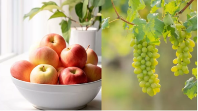 Photo of सर्दियों में फिट रहना चाहते हैं, तो जानिये कौन -कौन से फल खाएं