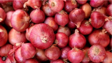 Photo of सरकार बफर के लिए दो लाख टन प्याज खरीदेगी,पढ़े पूरी खबर