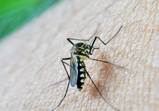 Photo of लखनऊ में बुखार के 1100 से अधिक मरीज