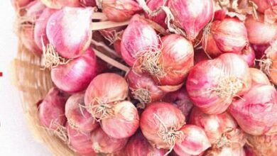 Photo of अब टमाटर के बाद क्या अब प्याज रुलाएगा? 15 दिनों में ही 50% तक बढ़े दाम